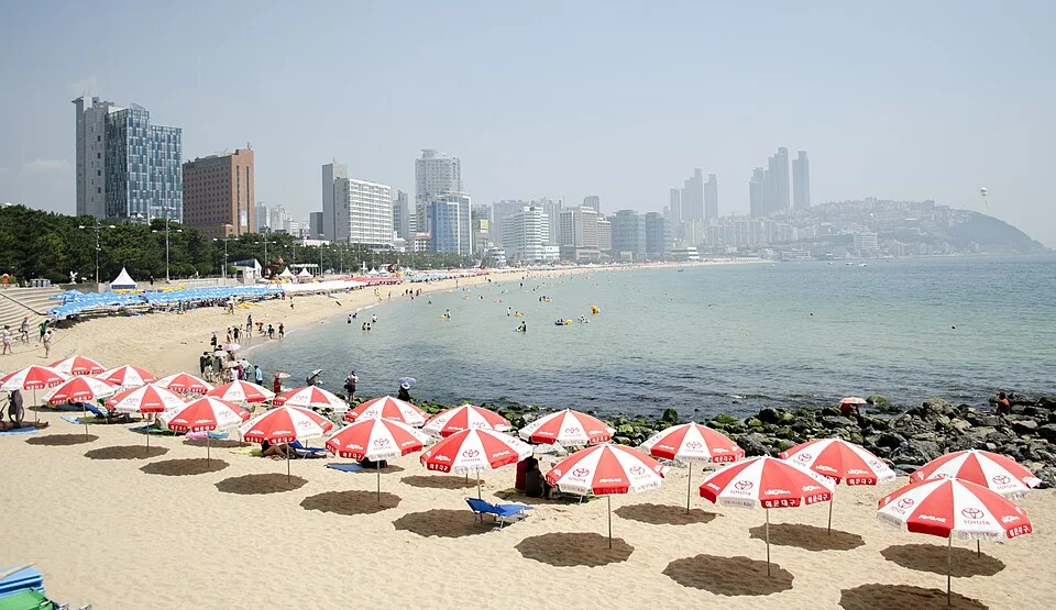 중동5구역 재개발 최신 진행 상황 및 분양 일정 완벽 정리 1 haeundae beach 2
