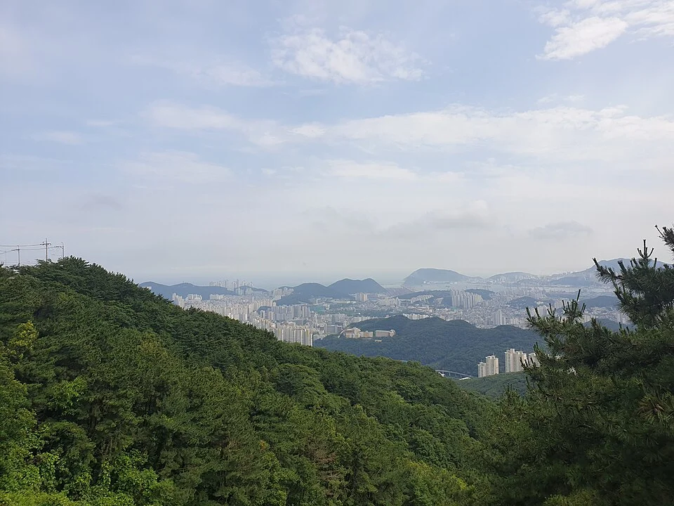 대연동 뒤편 황령산에서 바라본 풍경