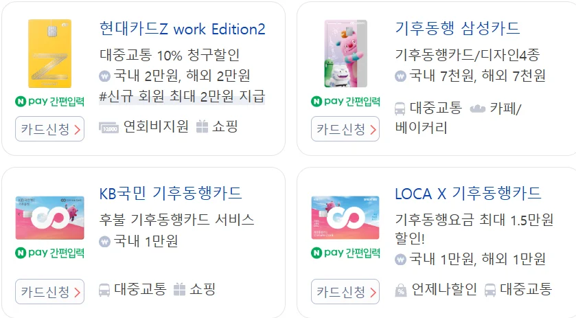 청소년 기후동행카드