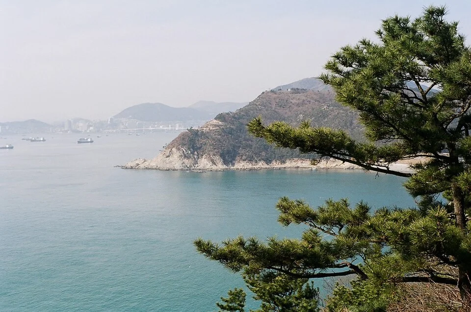 부산 가볼만한 곳 BEST 10! 2026 최신 여행 코스로 떠나는 완벽 가이드 5 부산 가볼만한 곳 태종대 해안 절경